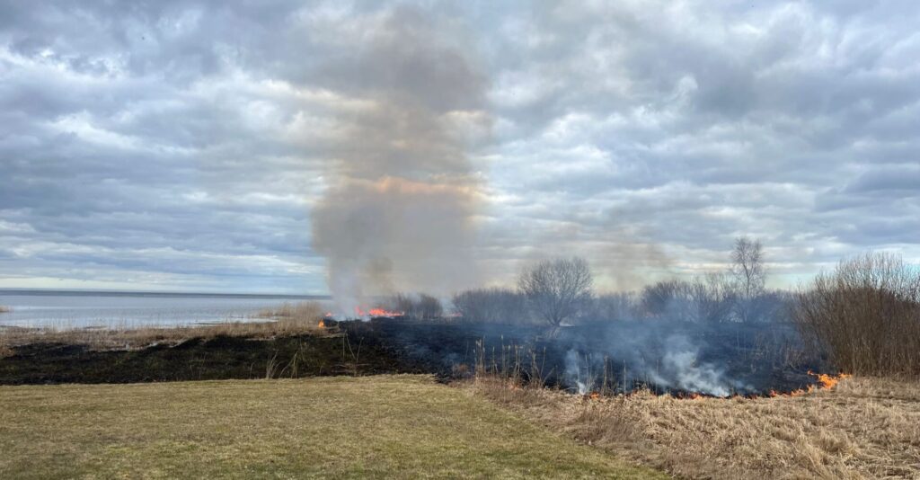 Päästeamet hoiatab: kulupõlengud on hüppeliselt kasvanud