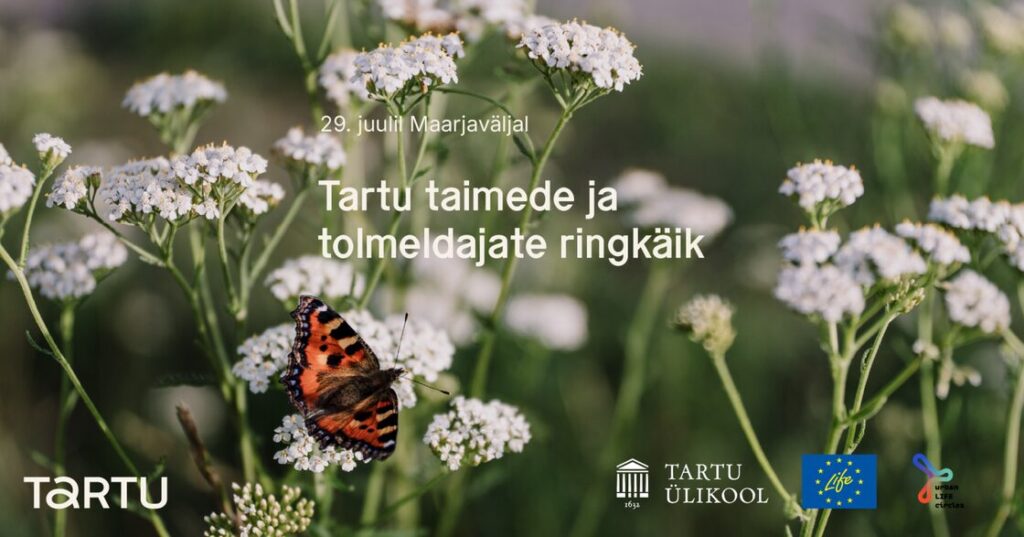 Maarjaväljal toimub taimede ja tolmeldajate ringkäik koos TÜ teadlastega